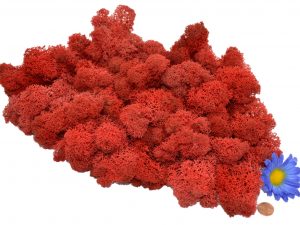 Muwse Islandmoos Mohnrot 100 g Maßstab Spur 1 Modellbau