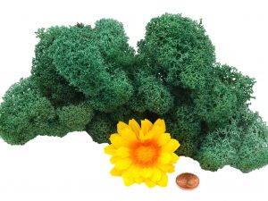 Muwse Islandmoos Kieferngrün 25 g Maßstab Spur 1 Modellbau