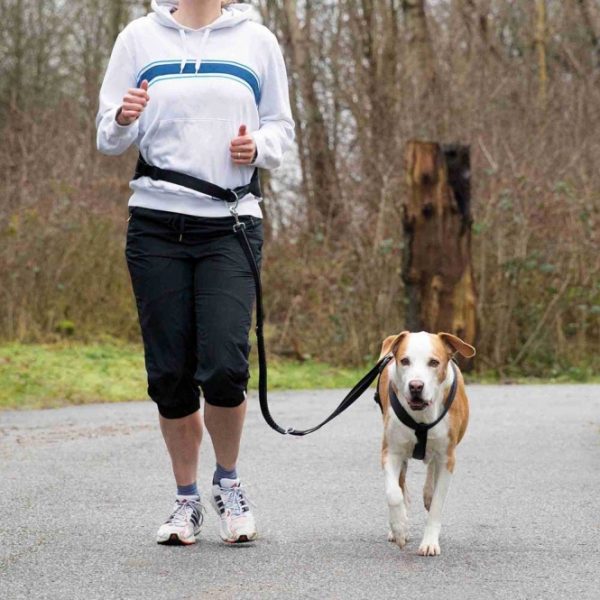 Trixie Bauchgurt mit Leine für mittelgroße und große Hunde - 75-120 cm – Bild 5