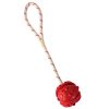Trixie Naturgummiball am Band, schwimmend - 7 cm – Bild 3