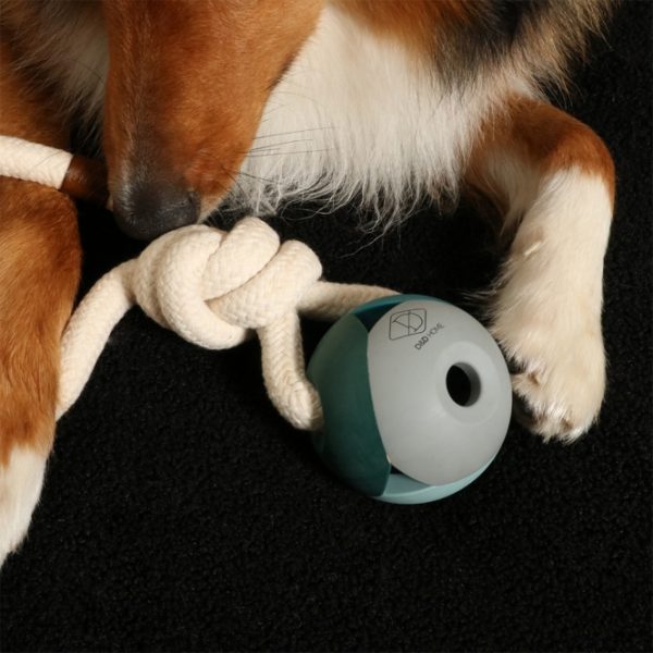 D&D Hundespielzeug Nora - lagoon – Bild 5