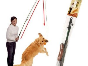Karlie DOG DANGLER Hunde-Spielangel