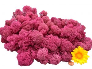 Muwse Islandmoos Veilchen Pink 100 g Maßstab Spur G Modellbau