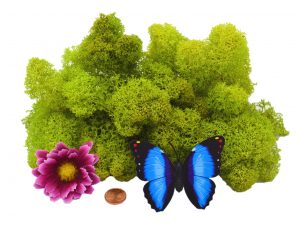 Muwse Islandmoos Frühlingsgrün 25 g Maßstab Spur G Modellbau