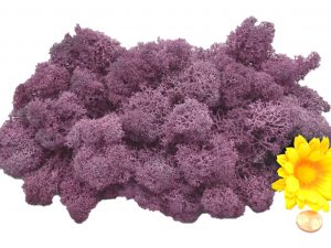 Muwse Islandmoos Flieder 50 g Maßstab Spur G Modellbau