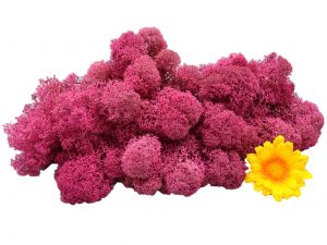 Muwse Islandmoos Veilchen Pink 50 g Maßstab Spur G Modellbau