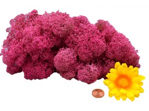 Muwse Islandmoos Veilchen Pink 25 g Maßstab Spur 0 Modellbau
