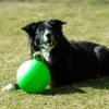 PROCYON Treibball Größe S - extra stabil - grün – Bild 6