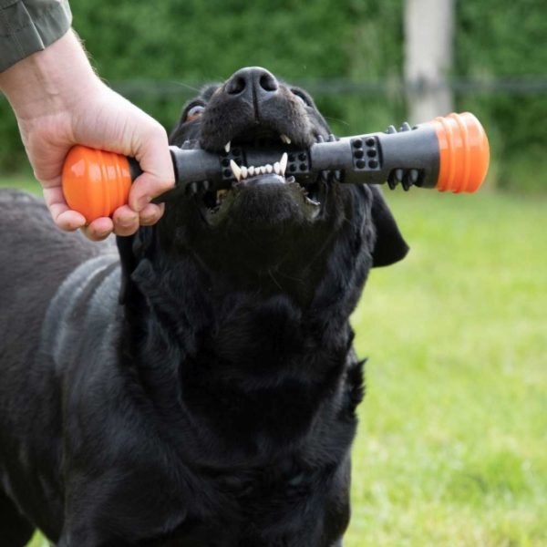Dog Comets Meteor Wurfstock - Orange / L – Bild 6