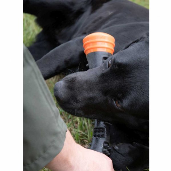 Dog Comets Meteor Wurfstock - Orange / L – Bild 5