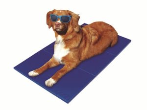 Pet-Star Kühlmatte - 65 x 50 cm
