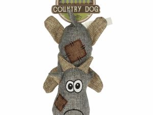 Country Dog Molly