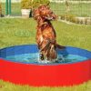 Karlie DOGGY POOL der Swimmingpool für Hunde - Rot-Blau - 160 cm – Bild 3