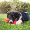 Hozies Sammy Stripes aus Feuerwehrschlauch - Small – Bild 5