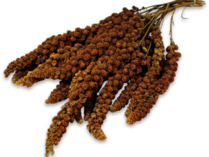 JR Birds Kolbenhirse rot 250 g