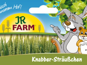 JR Knabber-Sträußchen 25g