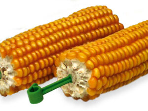 JR Mais-Kolben 200g