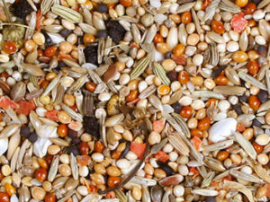 JR Birds Individ Nymphensi.1kg