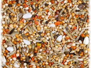 JR Birds Individ S+LPapagei1kg