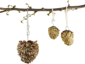 JR Birds Zapfen Well-Kana 120g
