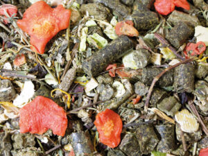 JR Grainless Mix Meerschwein 650g