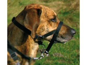 Trixie Top Trainer Ausbildungsgeschirr - max. 22 cm