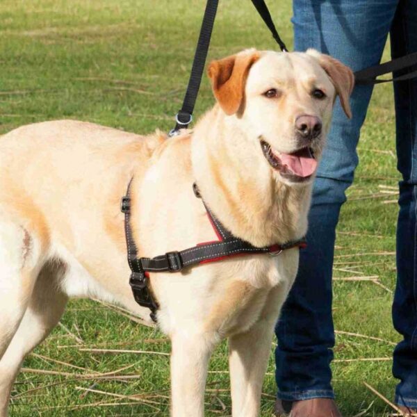 Trixie Trainingsgeschirr Lead'n'Walk Soft - M-L – Bild 3