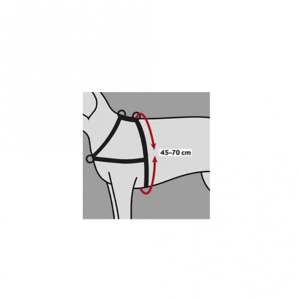 Trixie Trainingsgeschirr Lead'n'Walk Soft - S-M – Bild 3