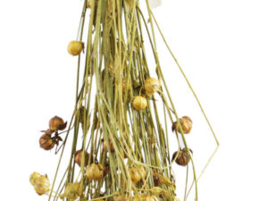 JR Birds Flachs 30g