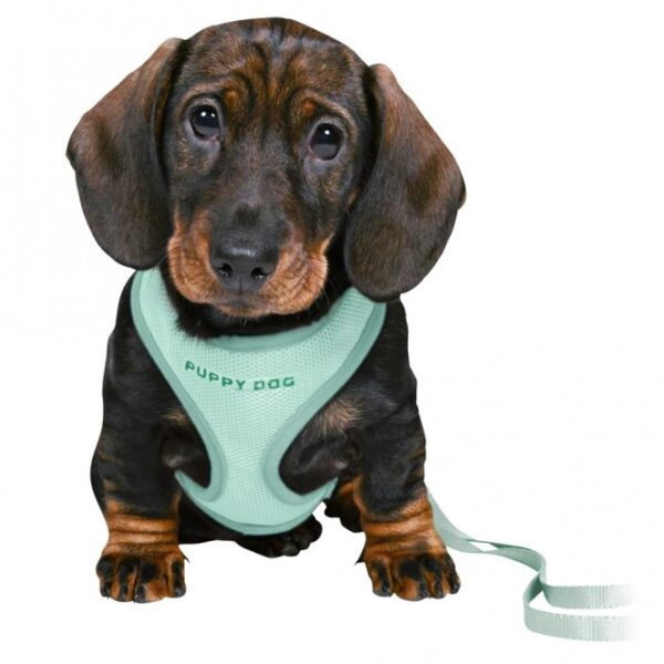 Trixie Junior Welpen-Softgeschirr mit Leine - mint – Bild 3