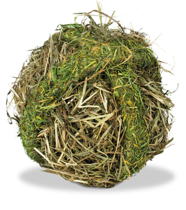 JR Farm Wiesen-Heuball 125g