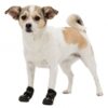 Trixie Pfotenschutzschuhe Walker Active - S-M – Bild 3