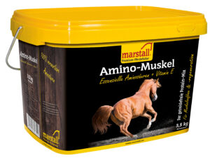 marstall Amino-Muskel 3,5kg Eimer
