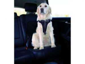 Trixie Auto-Sicherheitsgeschirr Dog Protect - L: 65-80 cm